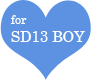 for sd13boy