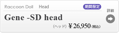 【【期間限定】Gene -SD head】の商品詳細はこちら