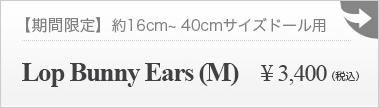【期間限定】Lop Bunny Ears (M):詳細ページはこちら