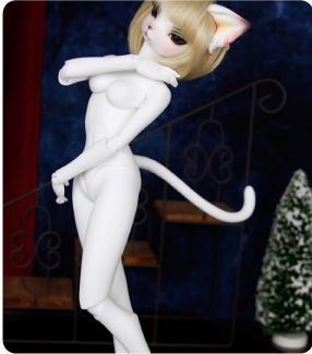 DL girl body cat type 2：詳細はこちら