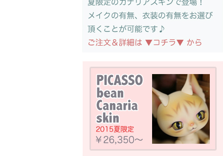 PICASSObean Canaria skin：詳細はこちら