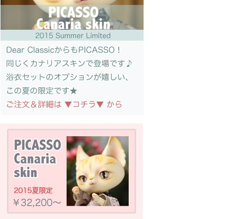 PICASSO Canaria skin <2015summer>：詳細はこちら