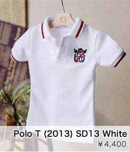 Polo T (2013) SD13 White：詳細はこちら