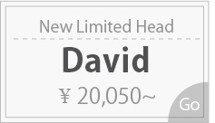 【期間限定】David(Zenith boy head):詳細ページはこちら