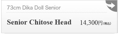 Senior Chitose Head：詳細ページはこちら