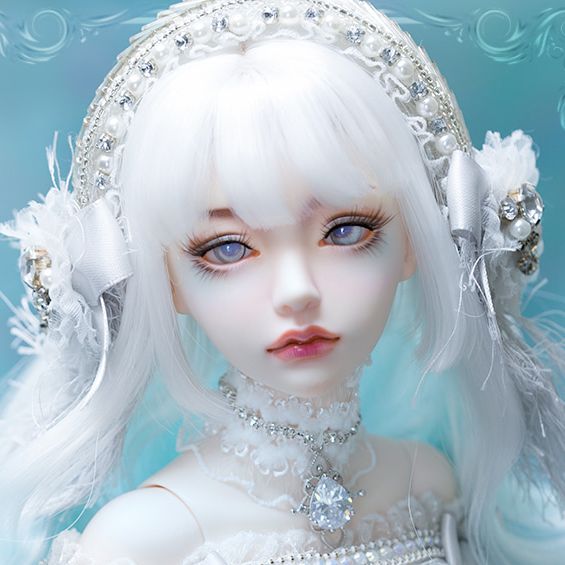 数量限定】Millie Limited full set ver.｜DOLK（ドルク）