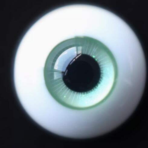 レジンアイW02-A品【catknows：6.3mm/12mm普通虹膜】12mm｜DOLK（ドルク）