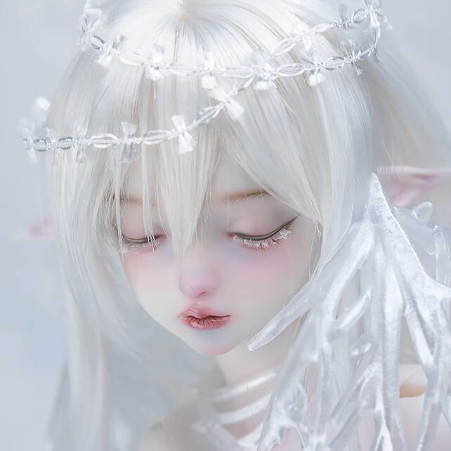 即納】Todd ＊ノーマルスキン｜DOLK（ドルク）