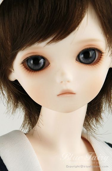 期間限定】TF Olive｜DOLK（ドルク）