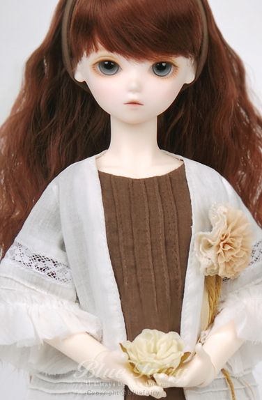 期間限定】TF Olive｜DOLK（ドルク）