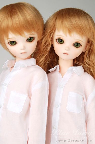 期間限定】TF Olive｜DOLK（ドルク）