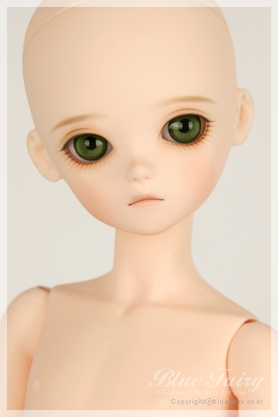 期間限定】TF Olive｜DOLK（ドルク）