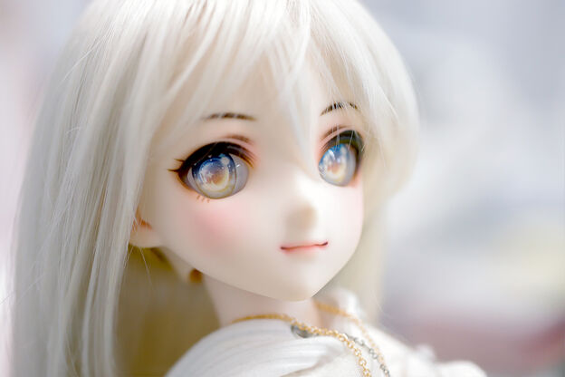 Circus - Normal ver.【No.7】20mm｜DOLK（ドルク）