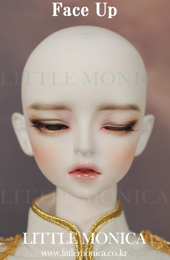 期間限定10%OFF】Romantic Sophia｜DOLK（ドルク）