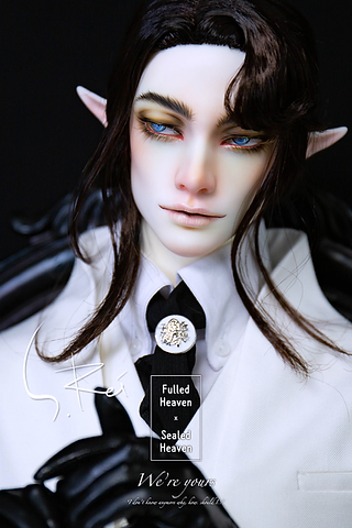 送料無料/プレゼント付♪ FHSH doll S.Rei Head - 通販 - www.icetran