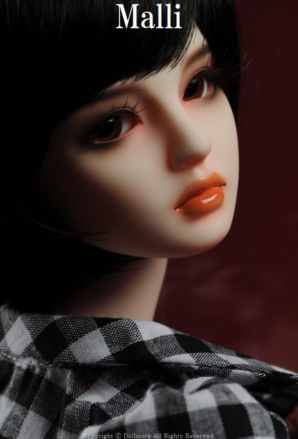 Dollmore Model Doll F Head｜DOLK（ドルク）