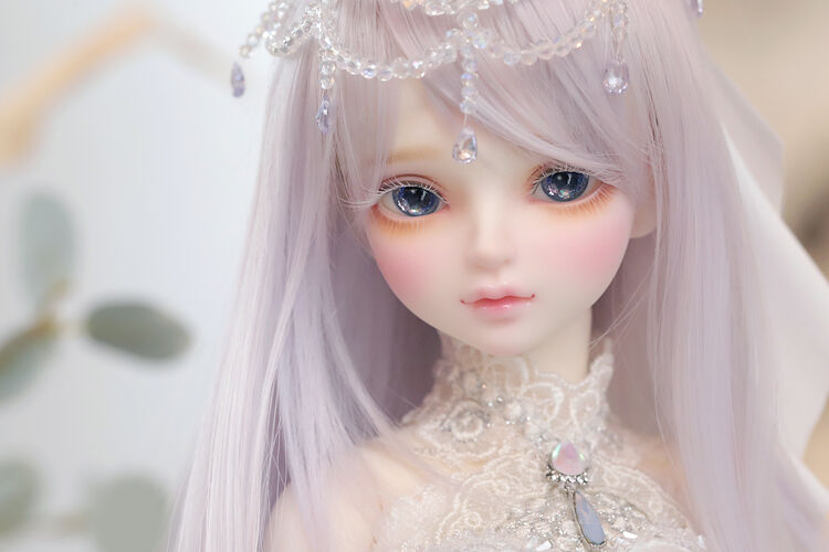DOLK×Myou Doll】Delia Princess Cinderella ver. Limited - Special