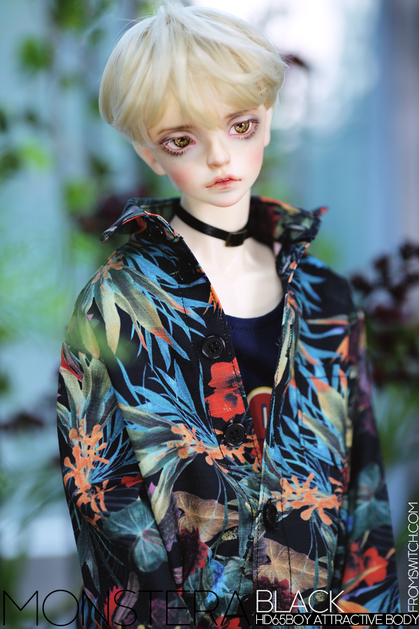 MONSTERA - Blue ｜DOLK（ドルク）