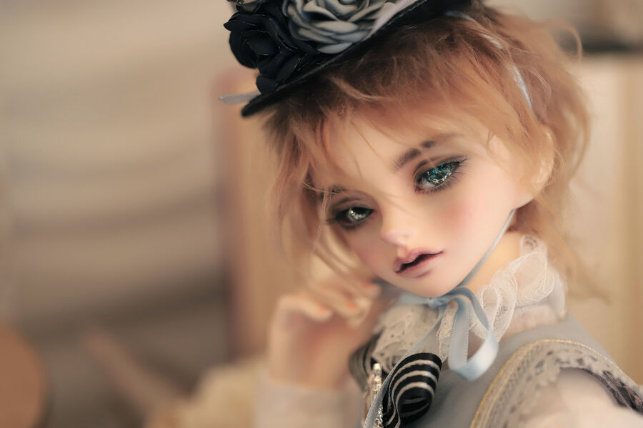 DOLK×Peak's Woods×Poppy×La Maison de Aile】Dandy Knox ver