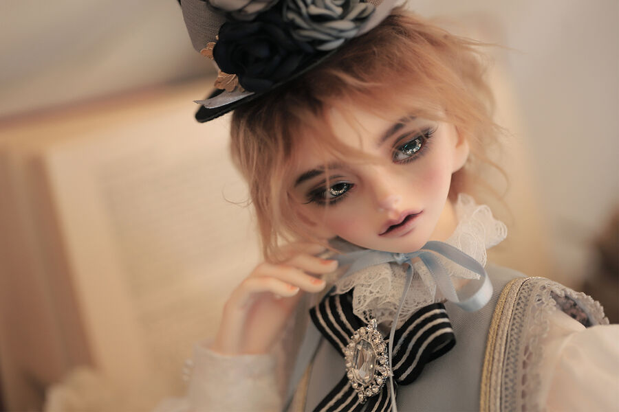 DOLK×Peak's Woods×Poppy×La Maison de Aile】Dandy Knox ver