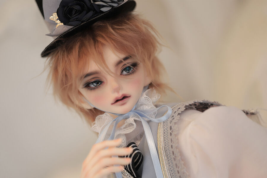 DOLK×Peak's Woods×Poppy×La Maison de Aile】Dandy Knox ver