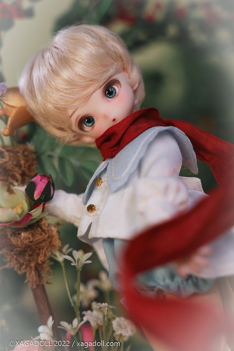 期間限定】Le Petit Prince Outfit｜DOLK（ドルク）