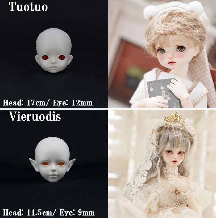 期間限定イベントヘッド】1/6 - Head｜DOLK（ドルク）