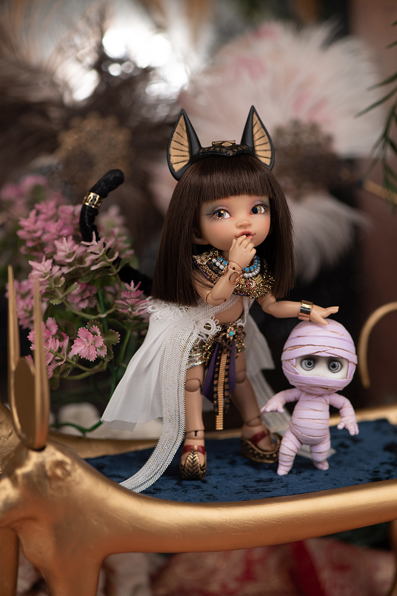 期間限定】Kaka Designers Complete (Bastet) ｜DOLK（ドルク）