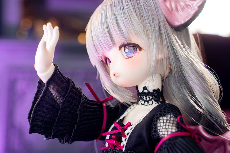 DOLK×ふにゃほわ×DOLL ZONE】Miyou Cath Palug ver. Limited - Special