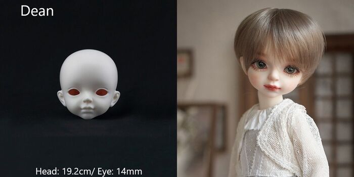 期間限定イベントヘッド】1/6 Head｜DOLK（ドルク）