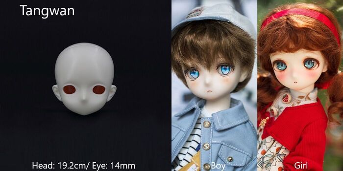 期間限定イベントヘッド】1/6 Head｜DOLK（ドルク）