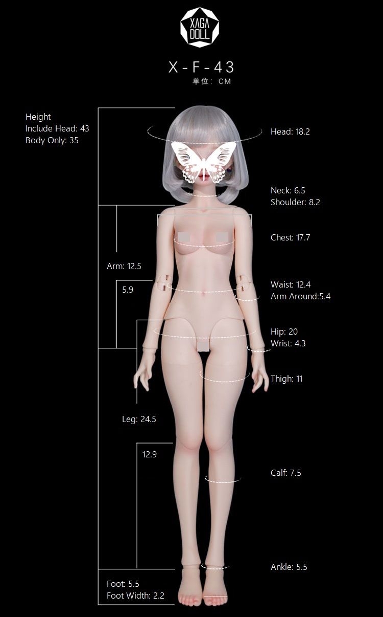 1/4 43cm Girl Body (X-F-43C)｜DOLK（ドルク）