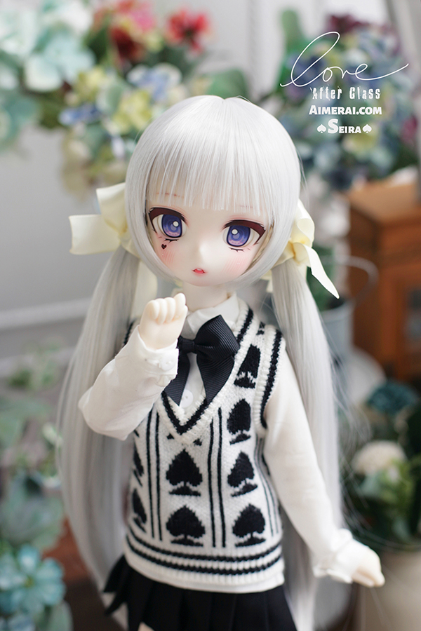 期間限定10％OFF】Seira - Manga Series Fullset｜DOLK（ドルク）