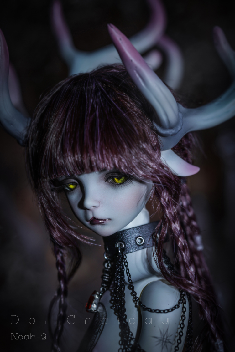 最終受注10％OFF】Noah-2｜DOLK（ドルク）
