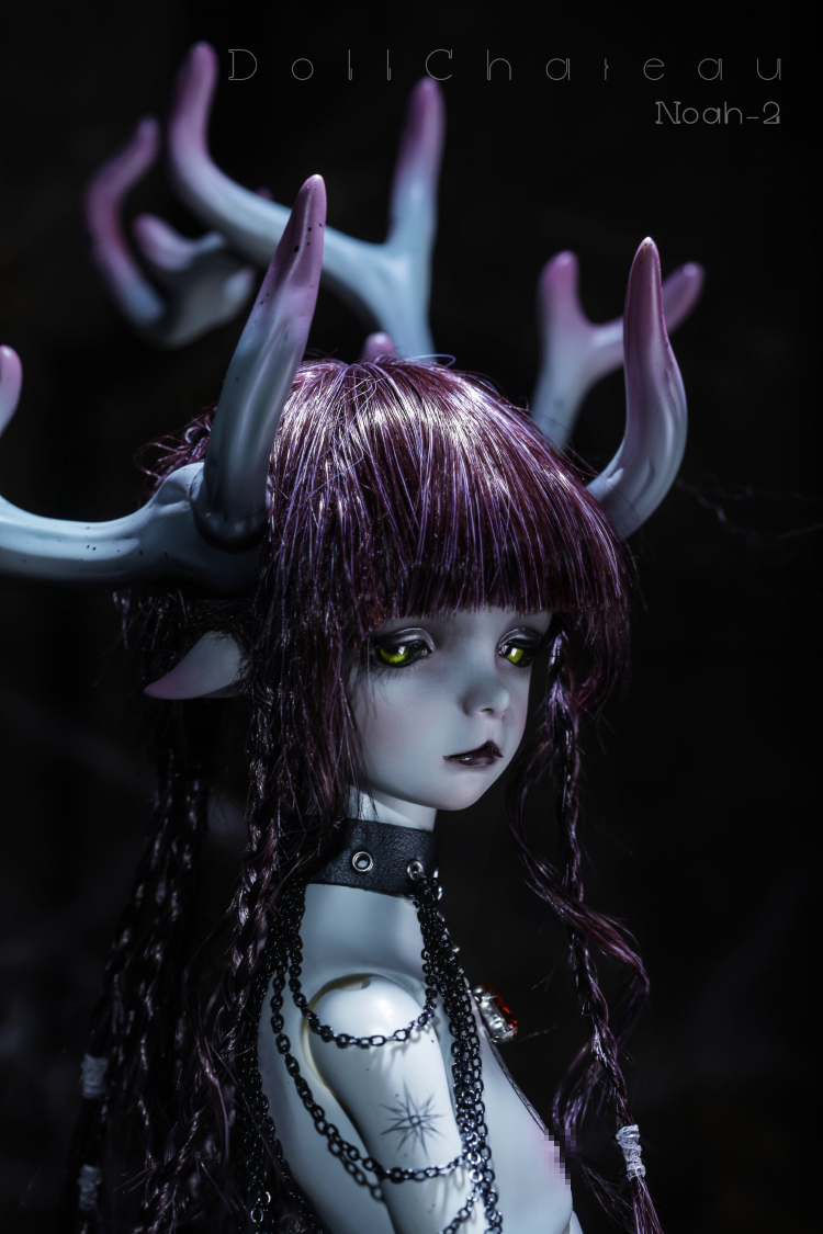 最終受注10％OFF】Noah-2｜DOLK（ドルク）