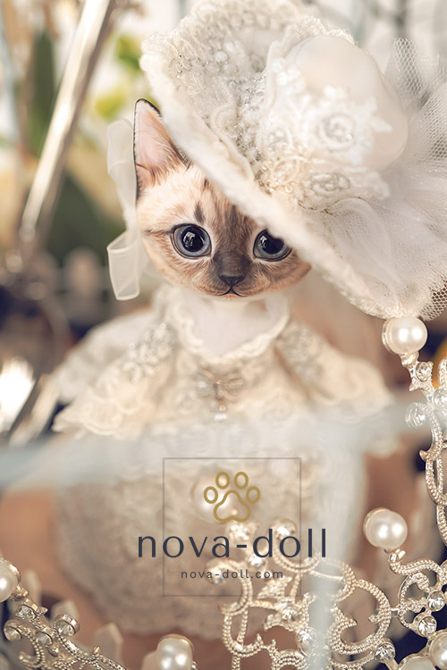 DOLK×nova-doll】Cat A-type Sia White Ver. - 世界40体限定｜DOLK