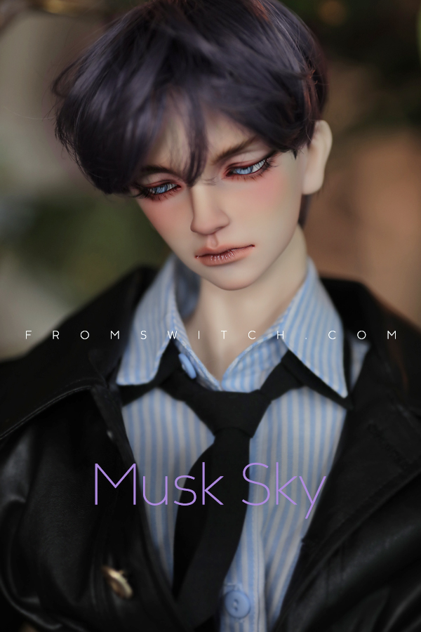 期間限定Clover Cut B: Shiny Brown｜DOLK（ドルク）