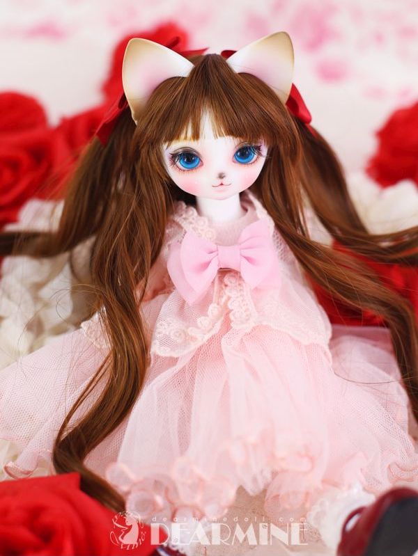 期間限定】ANGELA H. <2023 Summer>｜DOLK（ドルク）