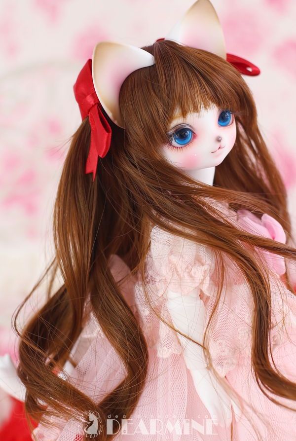 期間限定】ANGELA H. <2023 Summer>｜DOLK（ドルク）