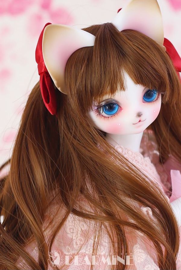 期間限定】ANGELA H. <2023 Summer>｜DOLK（ドルク）