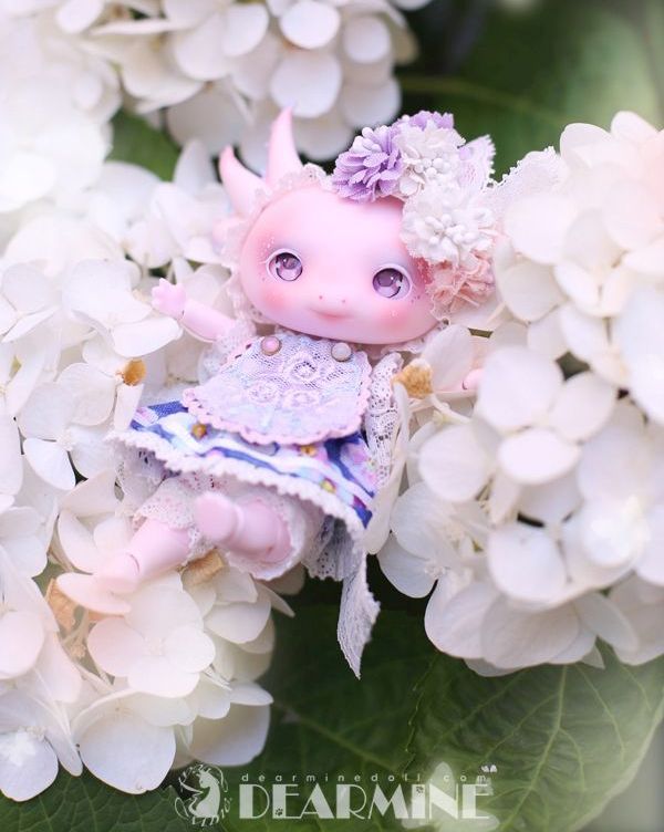 期間限定】LUPY rose skin <2023 summer>｜DOLK（ドルク）