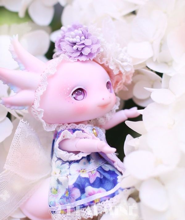 期間限定】LUPY rose skin <2023 summer>｜DOLK（ドルク）