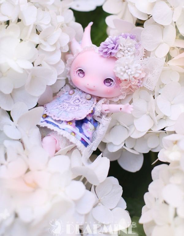 期間限定】LUPY rose skin <2023 summer>｜DOLK（ドルク）