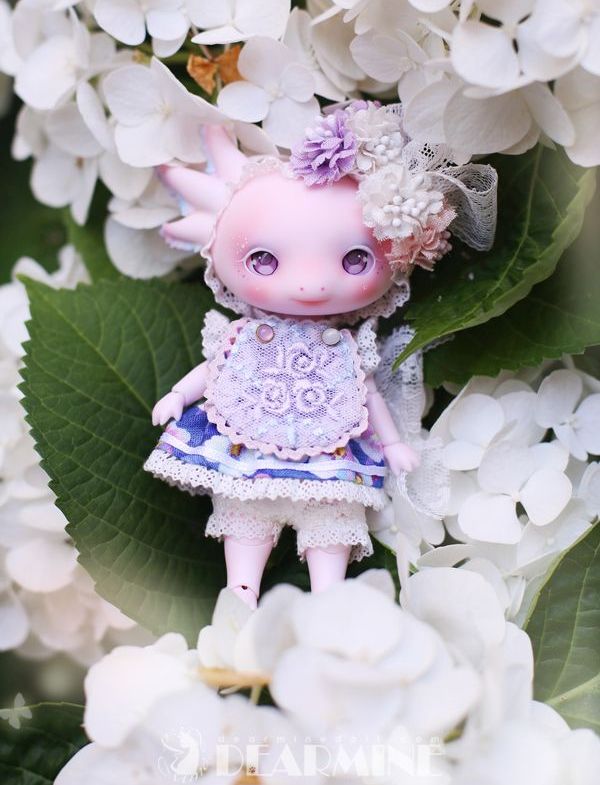 期間限定】LUPY rose skin <2023 summer>｜DOLK（ドルク）