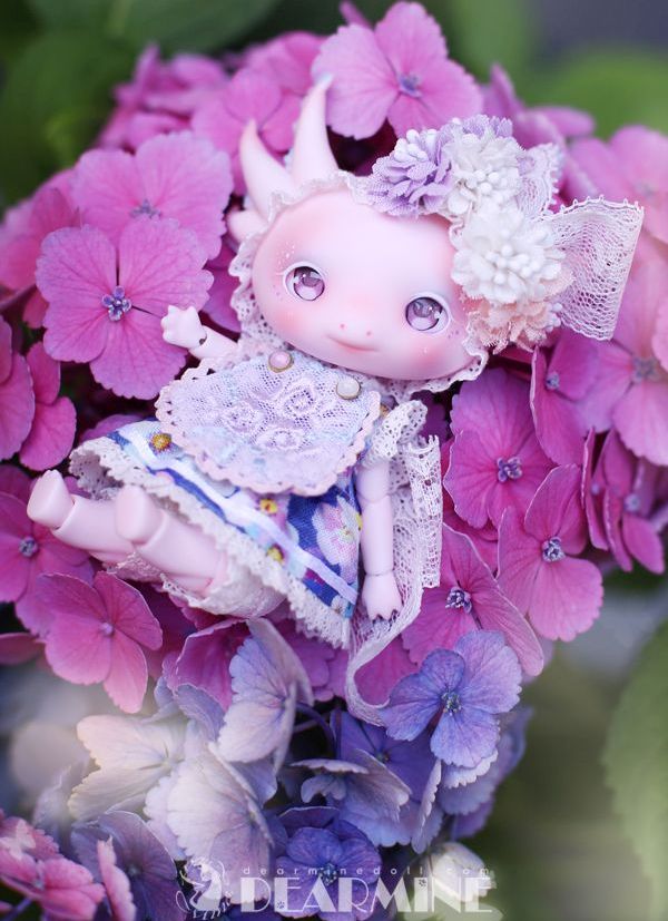 期間限定】LUPY rose skin <2023 summer>｜DOLK（ドルク）