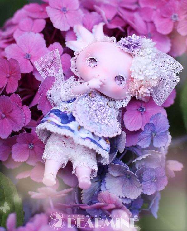 期間限定】LUPY rose skin <2023 summer>｜DOLK（ドルク）