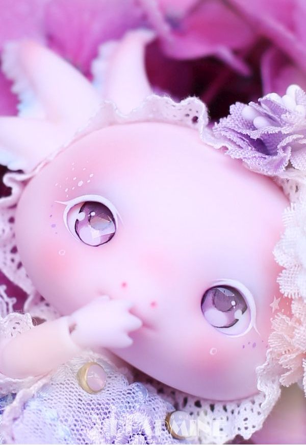 期間限定】LUPY rose skin <2023 summer>｜DOLK（ドルク）