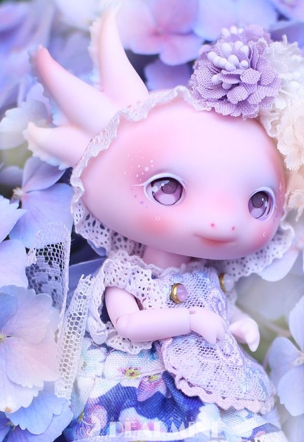 期間限定】LUPY rose skin <2023 summer>｜DOLK（ドルク）