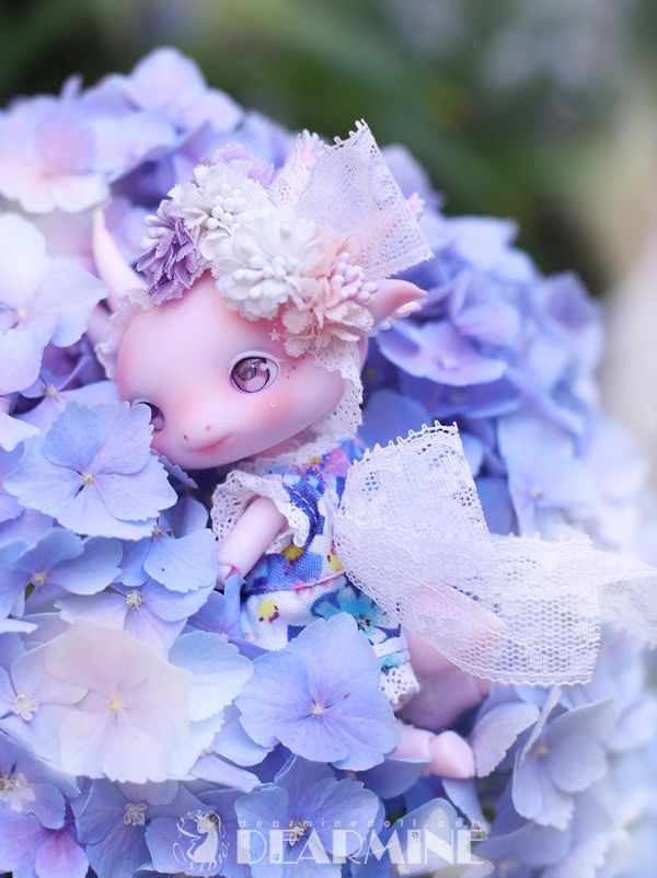 期間限定】LUPY rose skin <2023 summer>｜DOLK（ドルク）