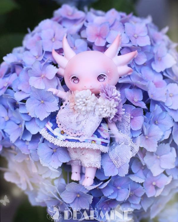 期間限定】LUPY rose skin <2023 summer>｜DOLK（ドルク）